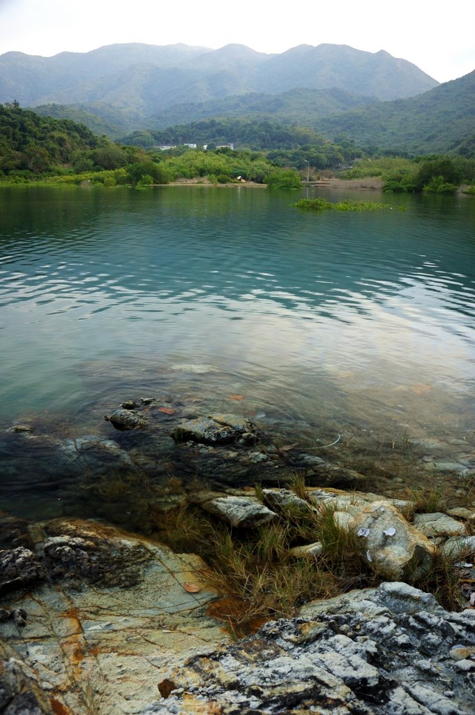 夏日逍遙荔枝莊 Lai Chi Chong