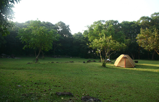 shl_06