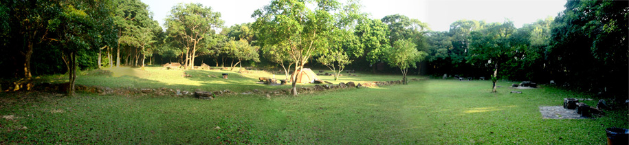 view_shl